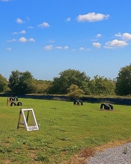Muddy Paws Fields - Trent (Green)