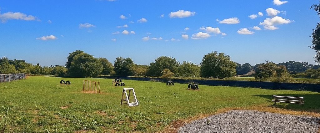 Muddy Paws Fields - Trent (Green)